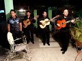 serenatas el 14 de febrero