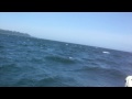 videos de fishing for halibut
