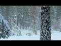 Tahoe Xmas 2008 - Large