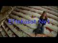 MAHMOUUD EL ESSEILY FT BOSHRA - TABAT W NABAT