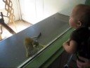 Reptile Farm 081808