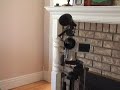 My shitty Samsung digital camera