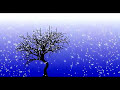 4 Seasons animation