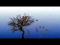 4 Seasons animation