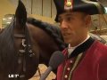 Saumur : Le Printemps Des Écuyers Se Prépare