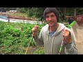 Line Ski Pollard's Paint Brush Ski Pole 2012