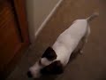 Buddy sniffing drugs
