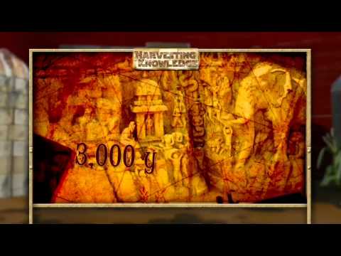 how to harvest knowledge