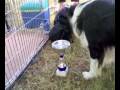 videos de X-Center School- Ken Frosinone.mp4