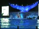 SHAMU ROCKS,ORLANDO FL.PARTE 2