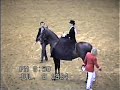 1/2 Arabian Ladies Side Saddle