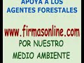 Agentes forestales y CQC protestan por Ley Urgente de Madrid