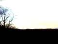 Video0001.3gp