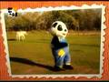 PANDA - A Quinta da Confusão