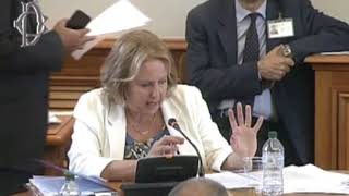 Covassi in commissione Politiche Ue Camera e Senato parte 2 integrale