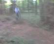 videos de barnets wood