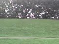 bike1