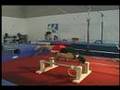 Planche Push Up