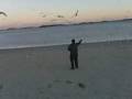 videos de CRAZY DE