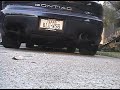 WS6 Trans Am Idle and Rev WS6 Trans Am Idle and Rev