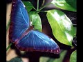 course-in-mind-spirit-part-1-intro-.html