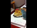 Click here to watch this video お菓子大好き インコ マメルリハ まめたん