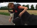 Denise Nardelli und Hunde 2006