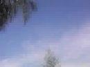 walkout March 27, 2006