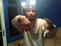 Shyan 2008 72 Bars Shyan 2008 72 Bars
