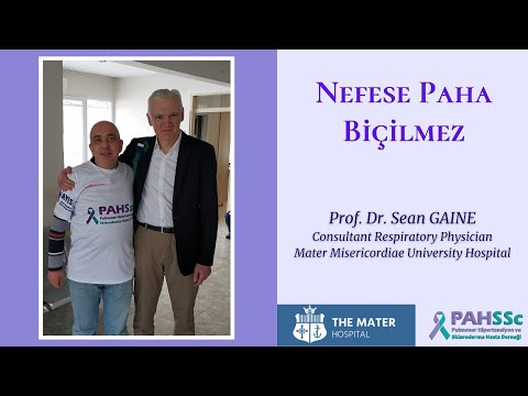 Prof. Dr. Sean GAINE der ki - Nefese PAHa Biçilmez - 2019.11.11