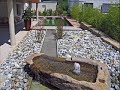 piscine biologique