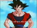 samu dbz 2008 1996