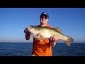 Falcon Lake 11 pound 12 oz Monster Bass!