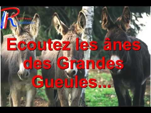 Femme musulmane cherche mariage