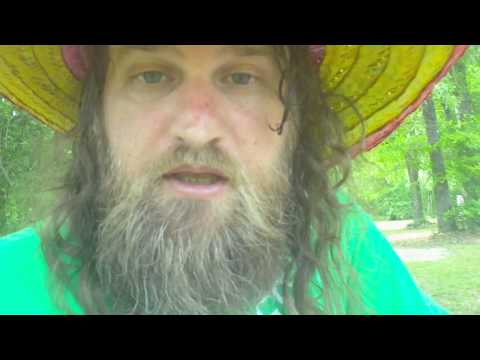 how to grow kudzu