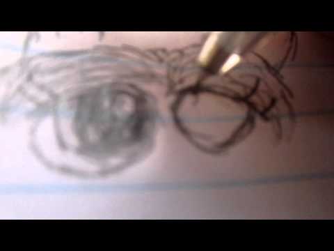 how to draw lps dog