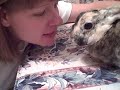 MacKenzie Bunnies - Me and Cali Kissing MacKenzie Bunnies - Me and Cali Kissing
