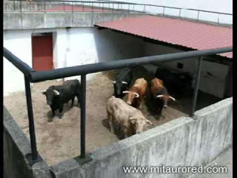 El Bibio, la plaza de toros de Gij&oacute;n