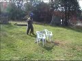 psd