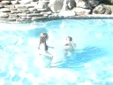 fun in the pool fun in the pool