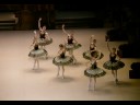 Svetlana Zakharova, Andrey Uvarov. \"Paquita\"