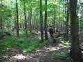Montgomery, VT mountain biking