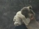 LION AFFECTION