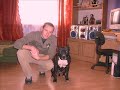 M�j Pit bull