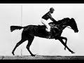 Muybridge