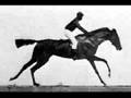 Muybridge