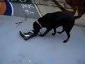 ペルと長靴