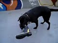 ペルと長靴