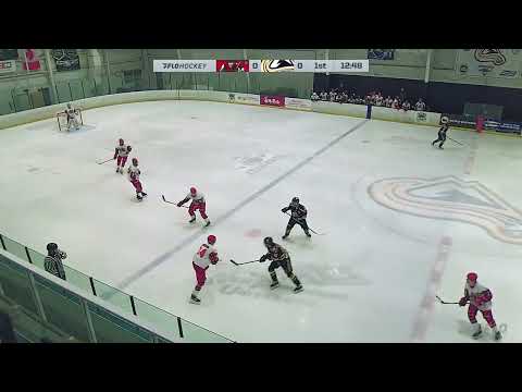 2024-25 : Season Summary - Hits/Checking