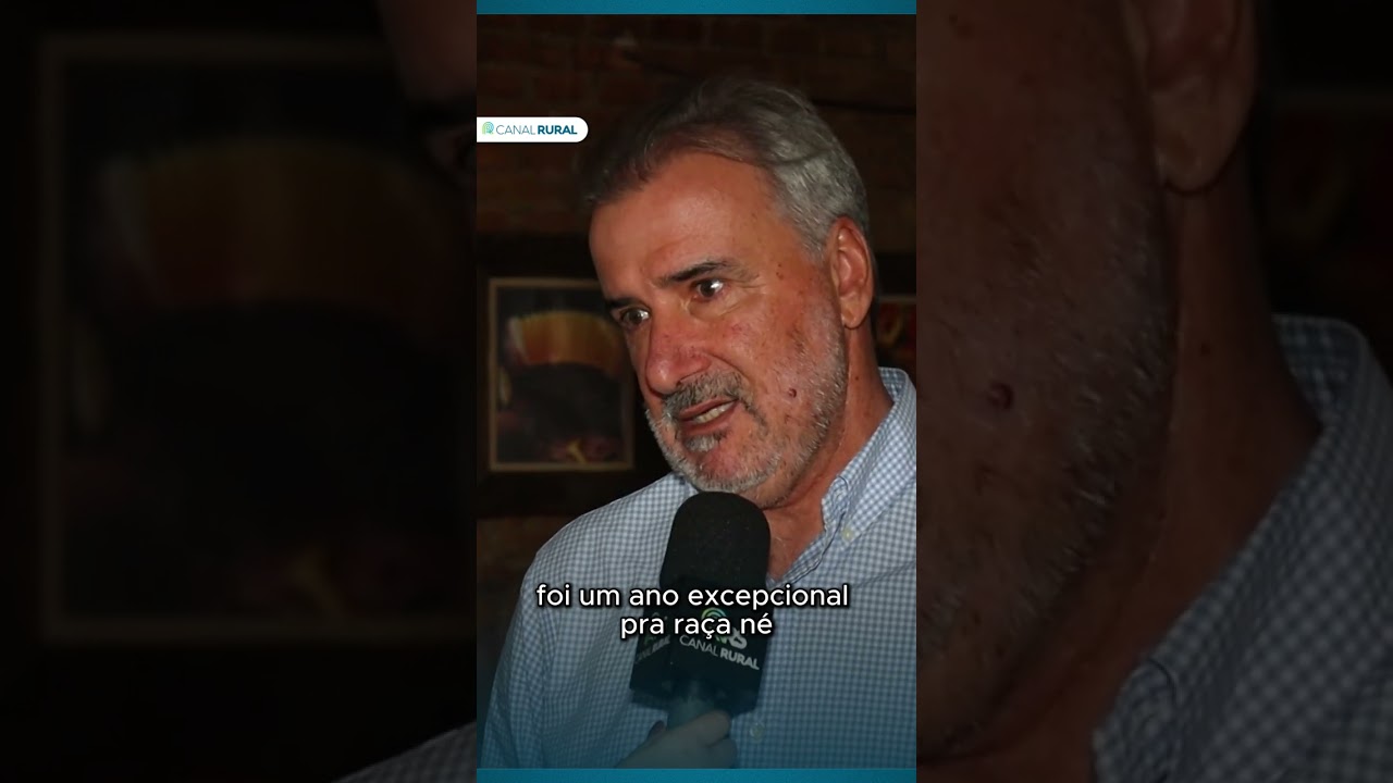 Raça de cavalo crioulo tem ano positivo em todos os segmentos